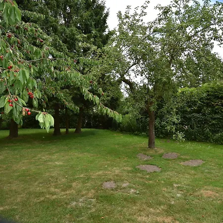 Cozy In Germany With Garden *